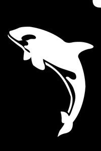 Orca
