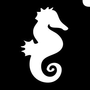 Seahorse